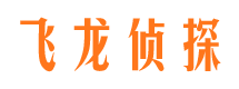 梁子湖侦探